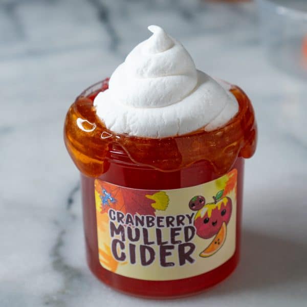 Cranberry Mulled Cider Slime DIY Clay Kit - Image 3
