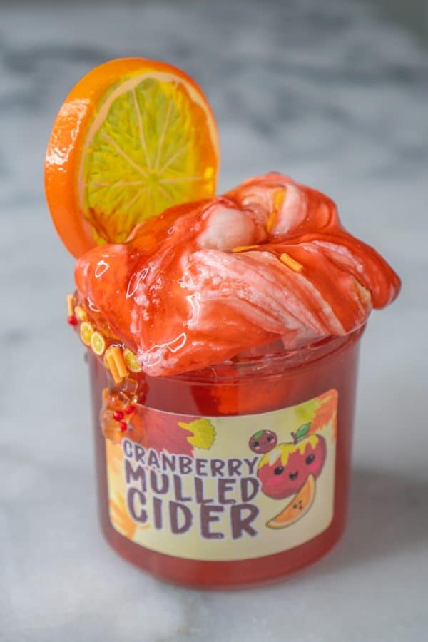Cranberry Mulled Cider Slime DIY Clay Kit - Image 5